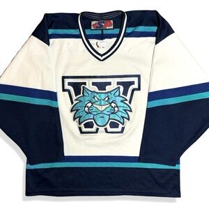 Rare Vintage 2000 AHL Worcester Ice Cats Hockey Jersey